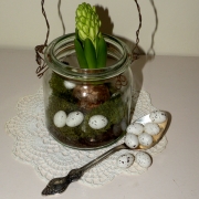 �wi�teczny hiacynt w stylu retro