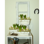 Wielkanocna kompozycja z hiacyntami 