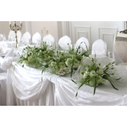 Dekoracja sali weselnej; Bia�y Pa�ac, Niesi�cin