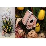 kompozycja w blaszanej os�once; tulipany, wierzba mand�urska, dodatki dekoracyjne