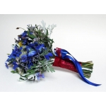 DZIKI B��KIT; ostr�ka, craspedia, chaber, aminek, eukaliptus, pistacja, starzec, limonium