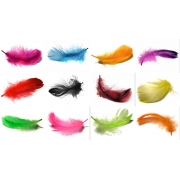 pi�rka (przyk�adowe kolory)