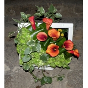 kompozycja w... obudowie monitora; cantedeskia, hortensja