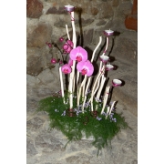 kompozycja w szkliwionym naczyniu; storczyk �m�wka